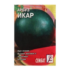 Арбуз Икар