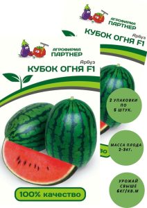Арбуз Кубок огня F1