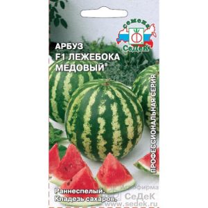 Арбуз Лежебока