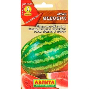 Арбуз Медовик