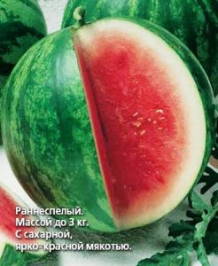 Арбуз Монастырский