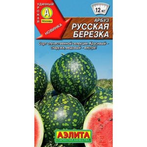 Арбуз Русская березка