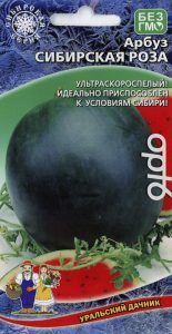 Арбуз Сибирская роза