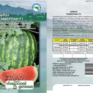 Арбуз Тамерлан