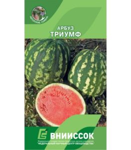 Арбуз Триумф