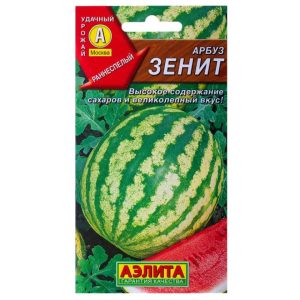 Арбуз Зенит
