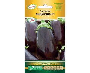 Баклажан Андрюша