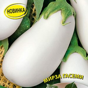 Баклажан Белый алмаз