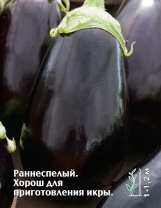 Баклажан Бычок