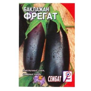 Баклажан Фрегат