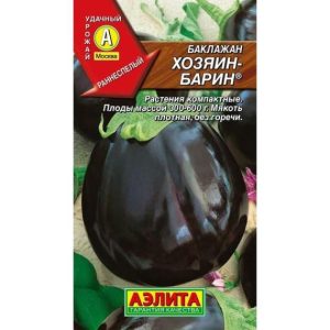 Баклажан Хозяин-барин