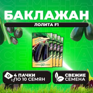 Баклажан Лолита