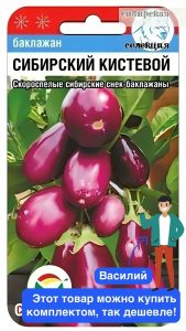 Баклажан Сибирский кистевой