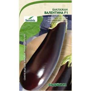 Баклажан Валентина
