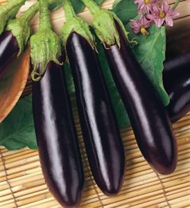 Баклажан Виолетта Лунга