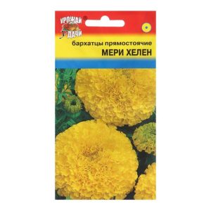 Бархатцы Мери Хелен