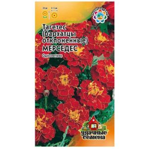 Бархатцы Мерседес