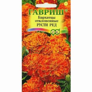 Бархатцы Русти Ред