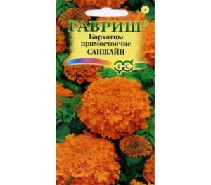 Бархатцы Саншайн