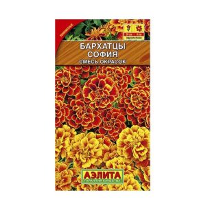 Бархатцы София (смесь)