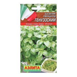 Базилик Генуэзский