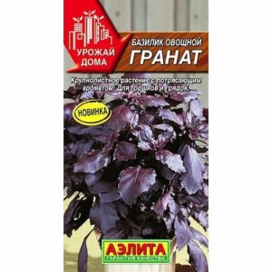 Базилик Гранат