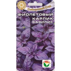 Базилик Карлик (фиолетовый)