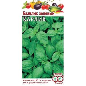 Базилик Карлик (зеленый)