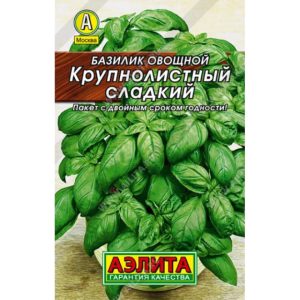 Базилик Крупнолистный сладкий