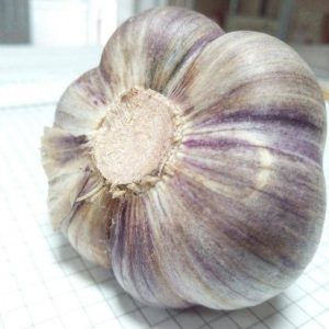 Чеснок Юбилейный грибовский