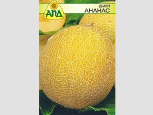 Дыня Ананас