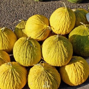 Дыня Бабушка (Кампир Ковун)