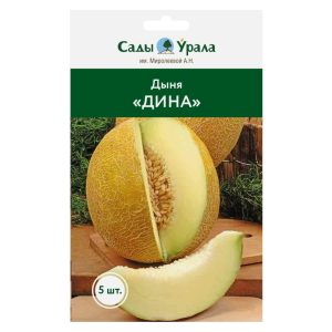 Дыня Дина