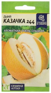 Дыня Казачка 244