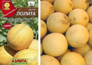 Дыня Лолита