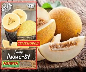 Дыня Люкс 87