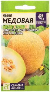 Дыня Медовая