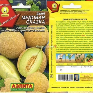 Дыня Медовая сказка