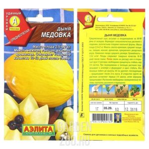 Дыня Медовка