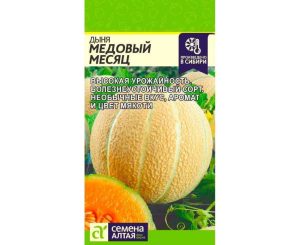 Дыня Медовый месяц