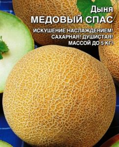 Дыня Медовый спас