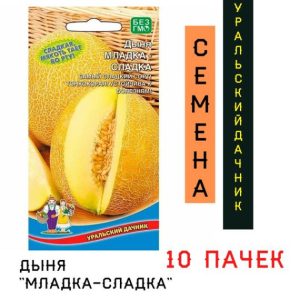 Дыня Младка-сладка