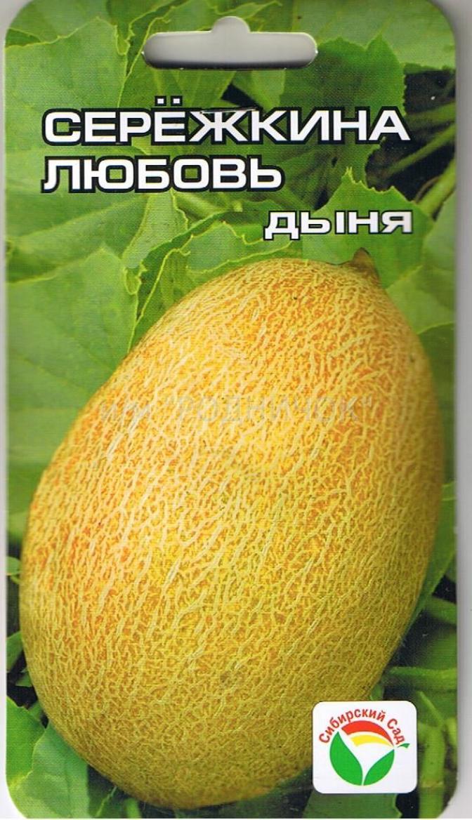 Дыня Сережкина любовь