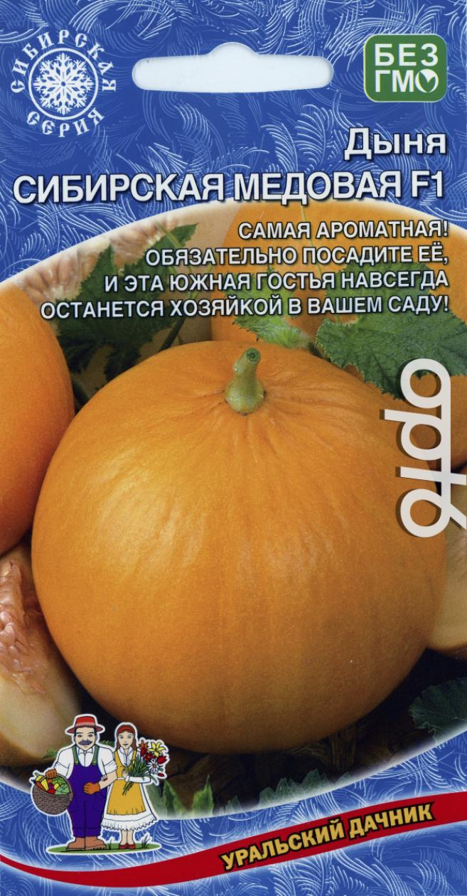 Дыня Сибирская медовая