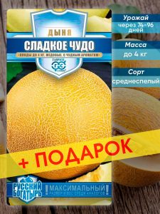 Дыня Сладкое чудо