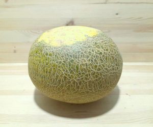 Дыня Славия