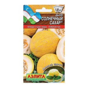 Дыня Солнечный сахар