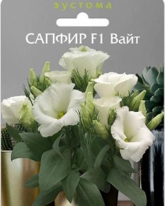 Эустома Сапфир Вайт
