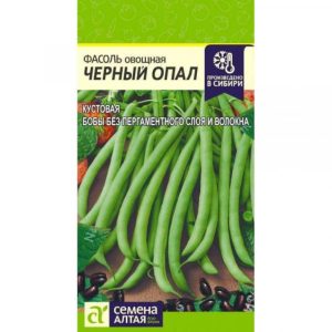 Фасоль Черный опал
