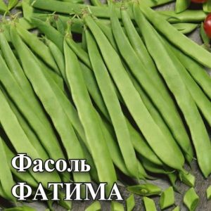 Фасоль Фатима